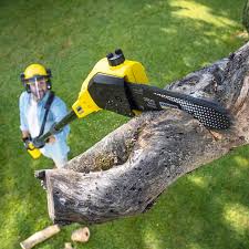 Artificial Turf Installation in Augusta, GA